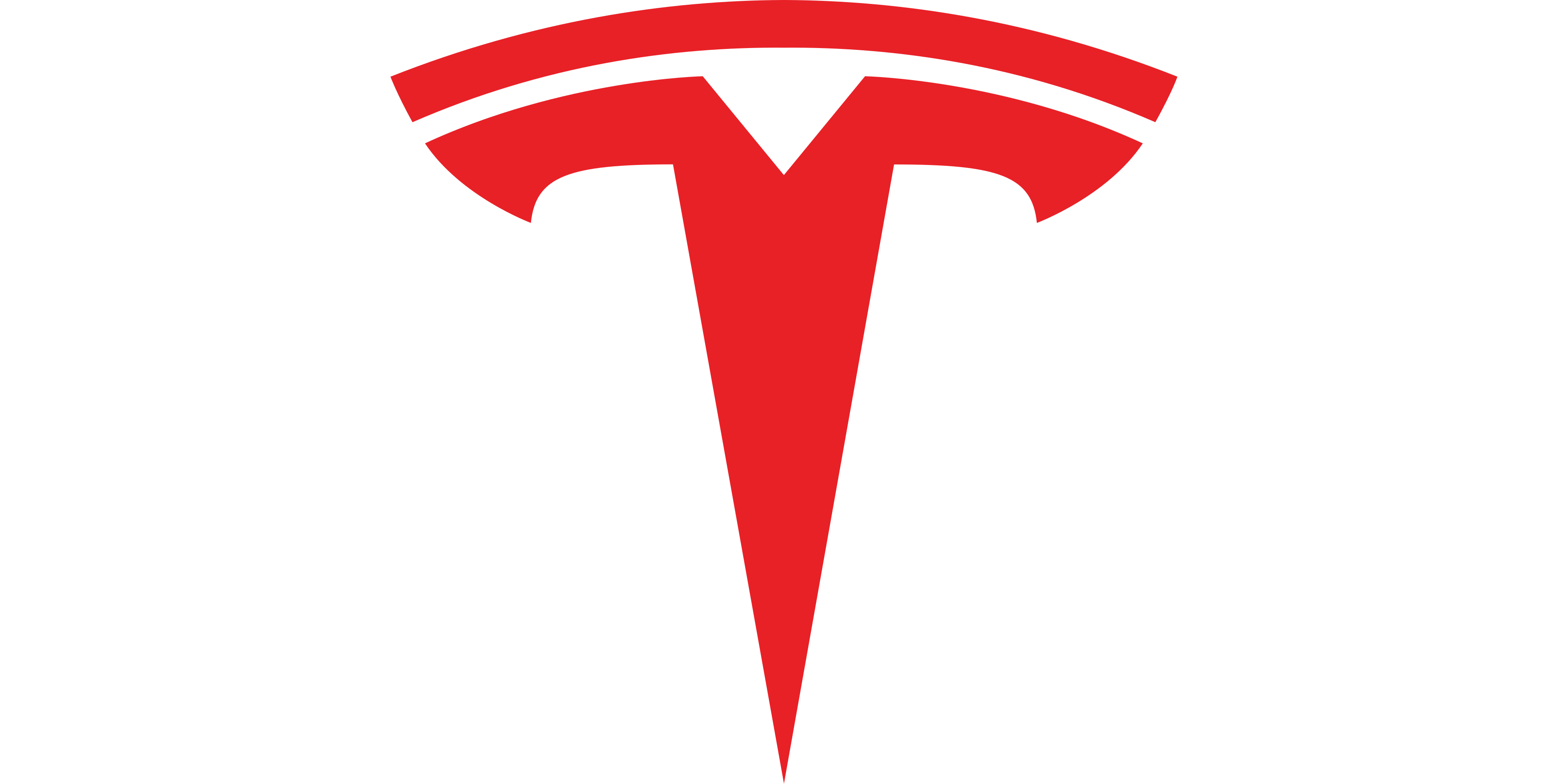 Tesla logo